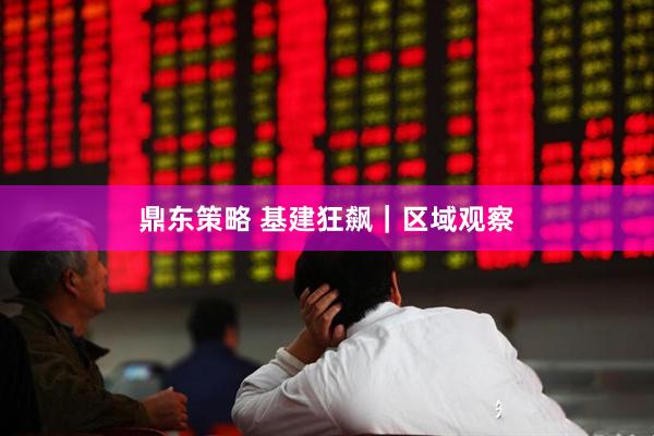 鼎东策略 基建狂飙|区域观察