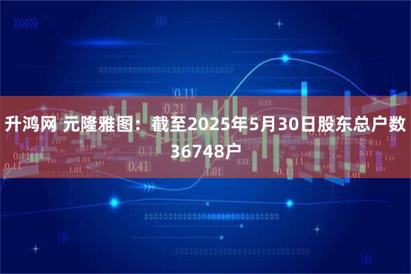 升鸿网 元隆雅图：截至2025年5月30日股东总户数36748户