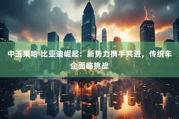 中玉束哈 比亚迪崛起：新势力携手共进，传统车企面临挑战