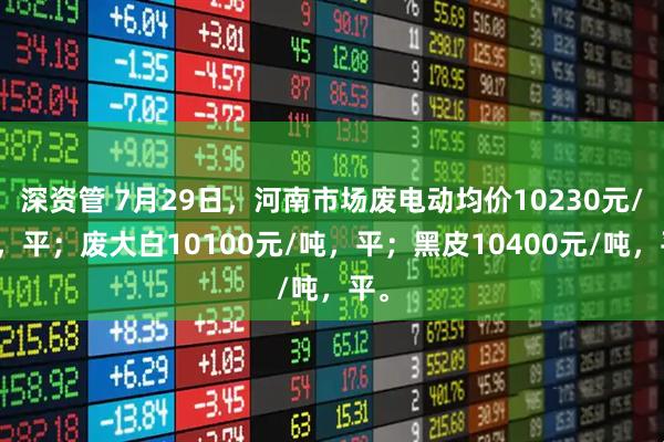 深资管 7月29日，河南市场废电动均价10230元/吨，平；废大白10100元/吨，平；黑皮10400元/吨，平。