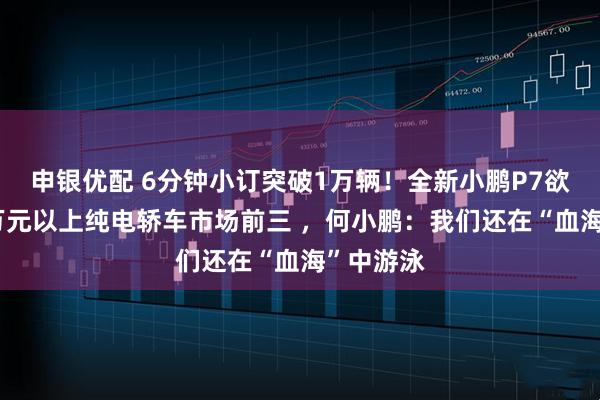申银优配 6分钟小订突破1万辆！全新小鹏P7欲重回20万元以上纯电轿车市场前三 ，何小鹏：我们还在“血海”中游泳