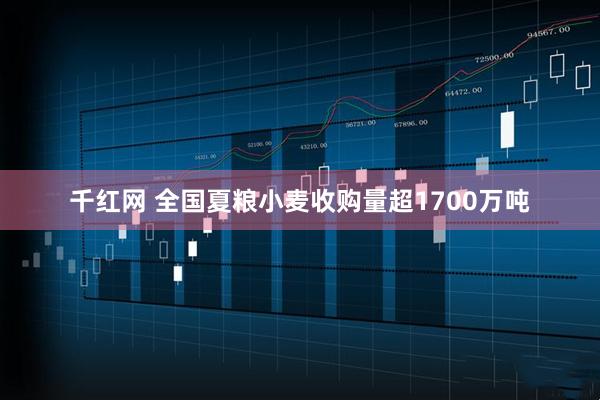 千红网 全国夏粮小麦收购量超1700万吨