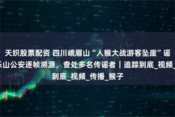 天织股票配资 四川峨眉山“人猴大战游客坠崖”谣言追踪：乐山公安逐帧溯源，查处多名传谣者｜追踪到底_视频_传播_猴子